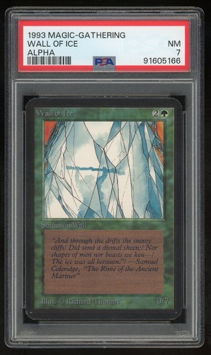 Carta mtg magic - mtg, the